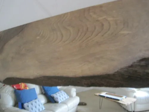 American Black Walnut Live Edged Mirror