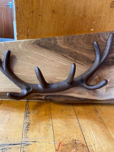 Antler Coat Rack