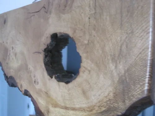 Handcrafted - Live edged Mirror 4127