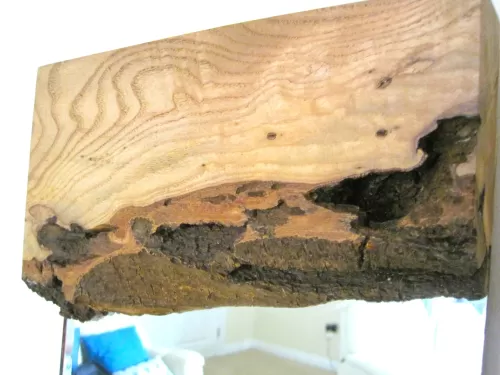 Live Edge Hall Mirror